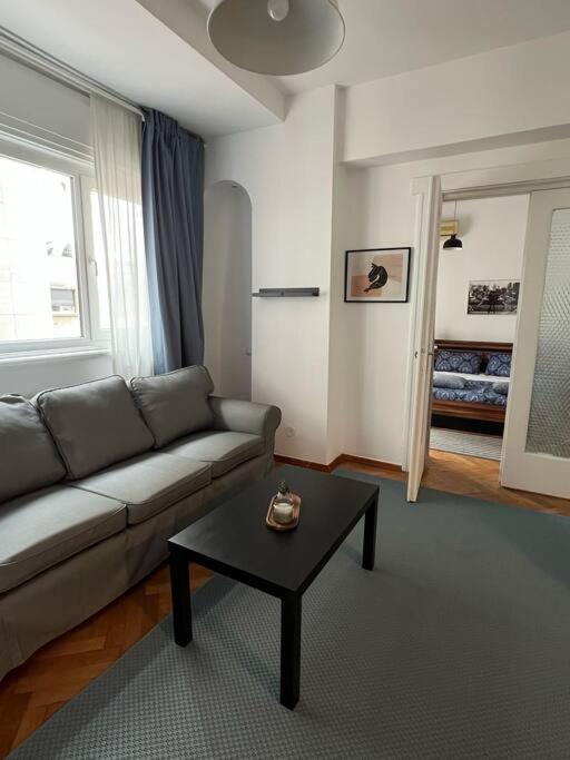 Ultracentral Universitate Apartment *